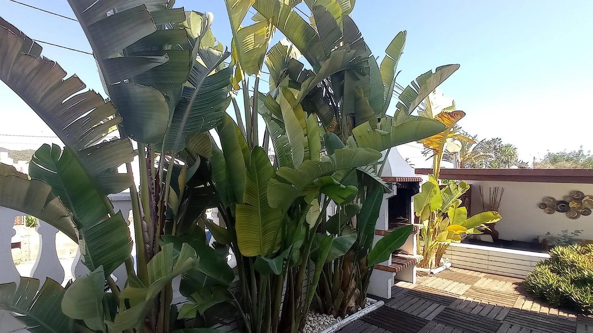 Inibiza Villas - Villa Juncos Can Furnet